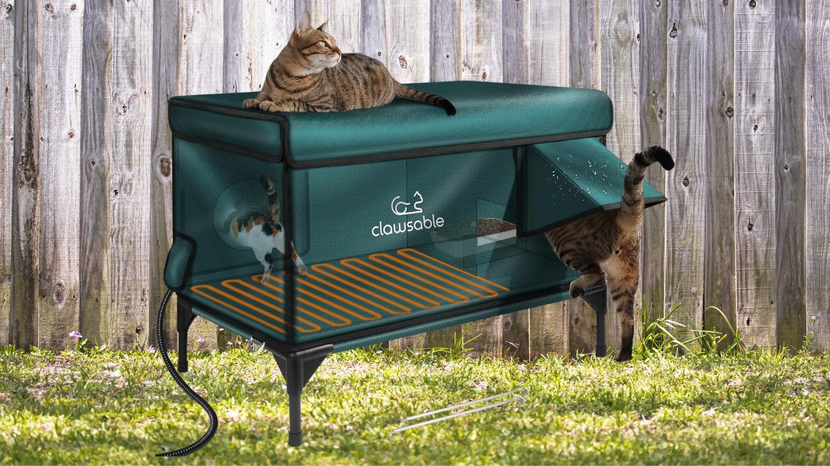 Lamlingo Outdoor Heated Cat House: Reliable Winter Shelter for Outdoor Cats