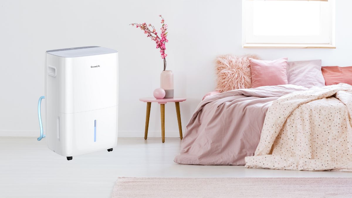 GoveeLife Dehumidifier for Home