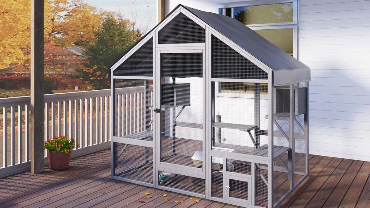 Why a Large 7-Tiered Outdoor Catio Redefines Life for Your Indoor Cats