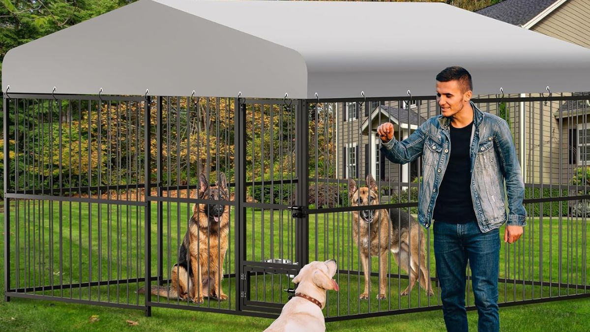 10x10x6 FT Outdoor Dog Kennel for Large Dogs