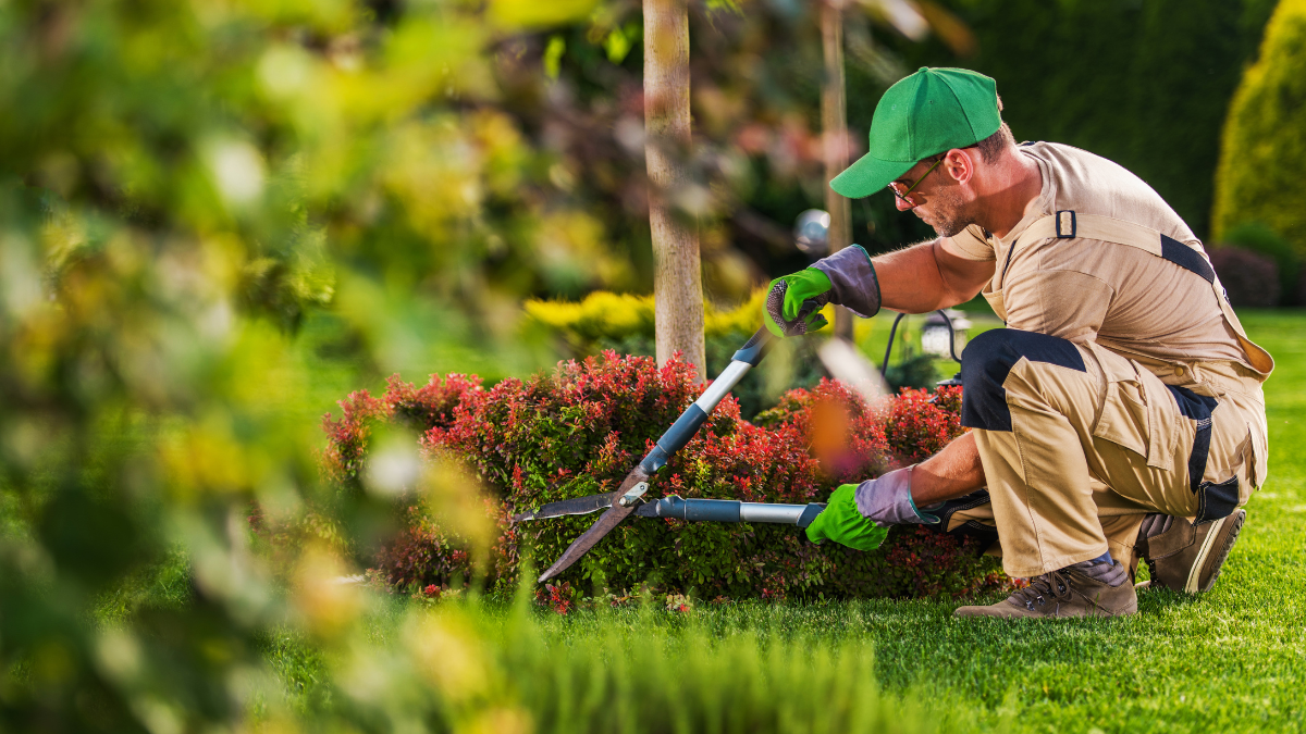 landscaping services