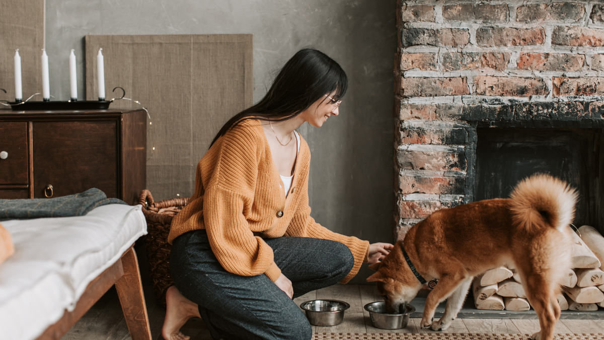New Dog Essentials: A Practical Supply Checklist for Bringing Your Dog Home