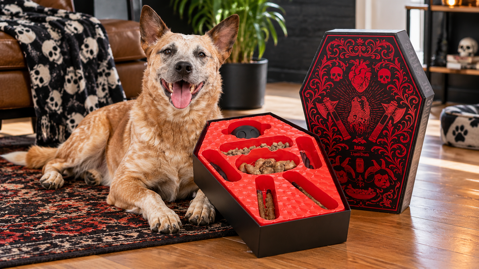 Happy dog beside the BARK x Liquid Death Feed the Beast Consumables Pack featuring a coffin-shaped box filled with assorted dog treats.