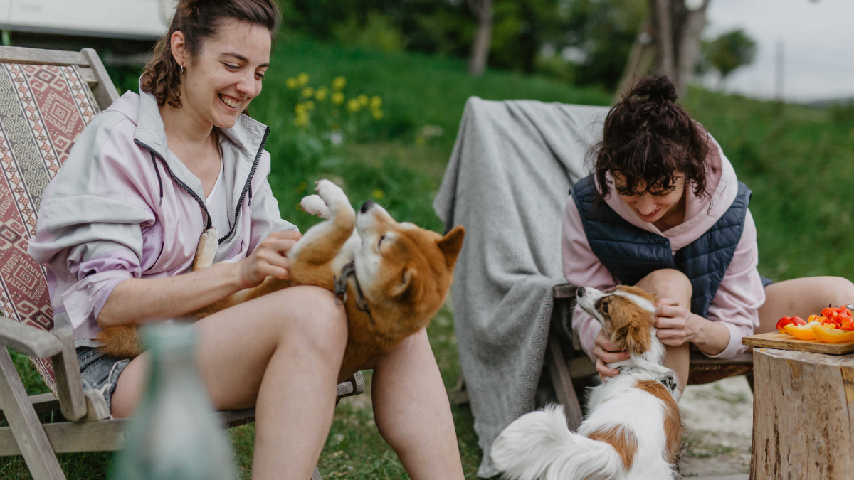 Pet-friendly vacation rentals offering comfortable accommodations for travelers enjoying a relaxing getaway with their pets.